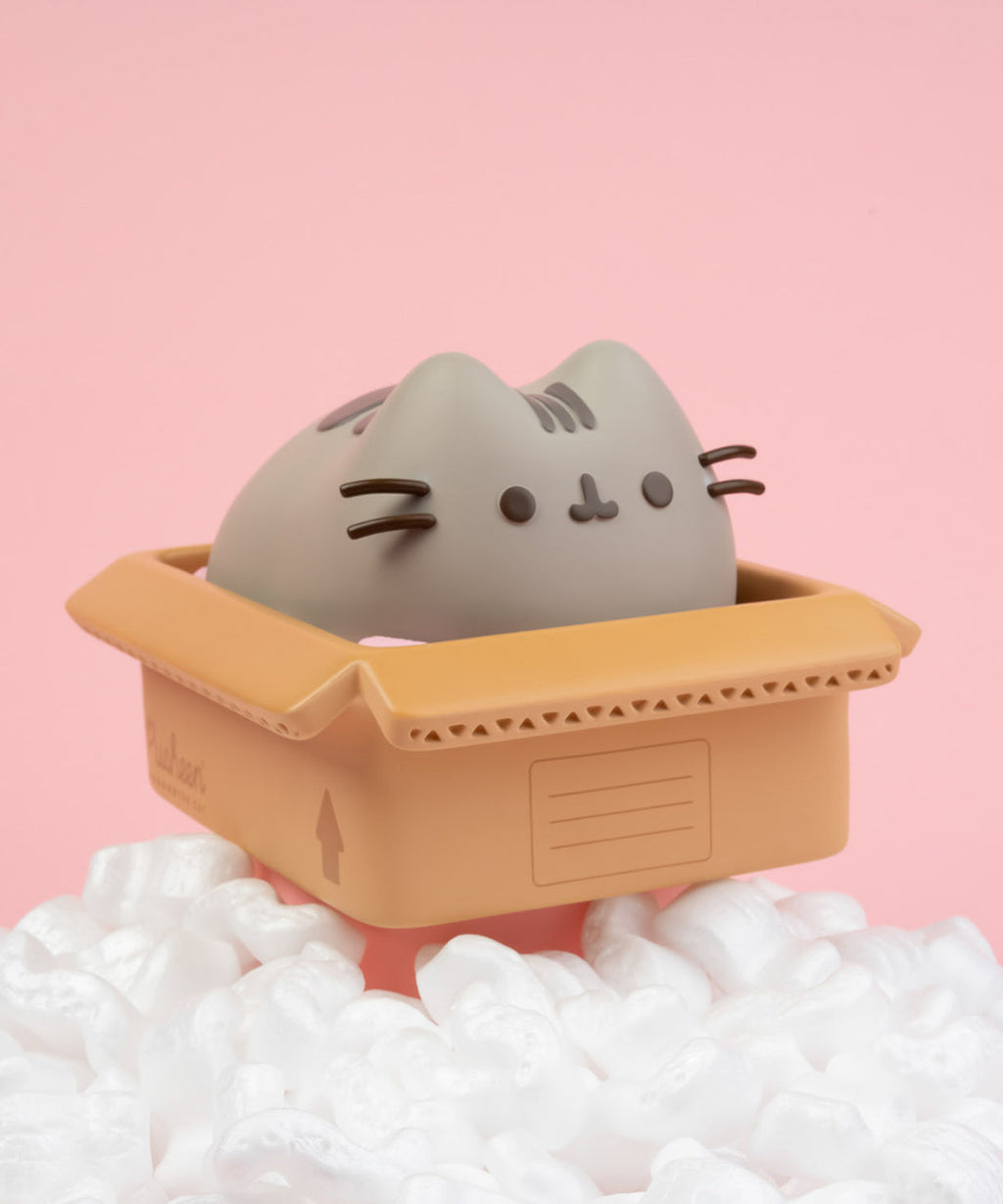 Pusheen Piggy Bank