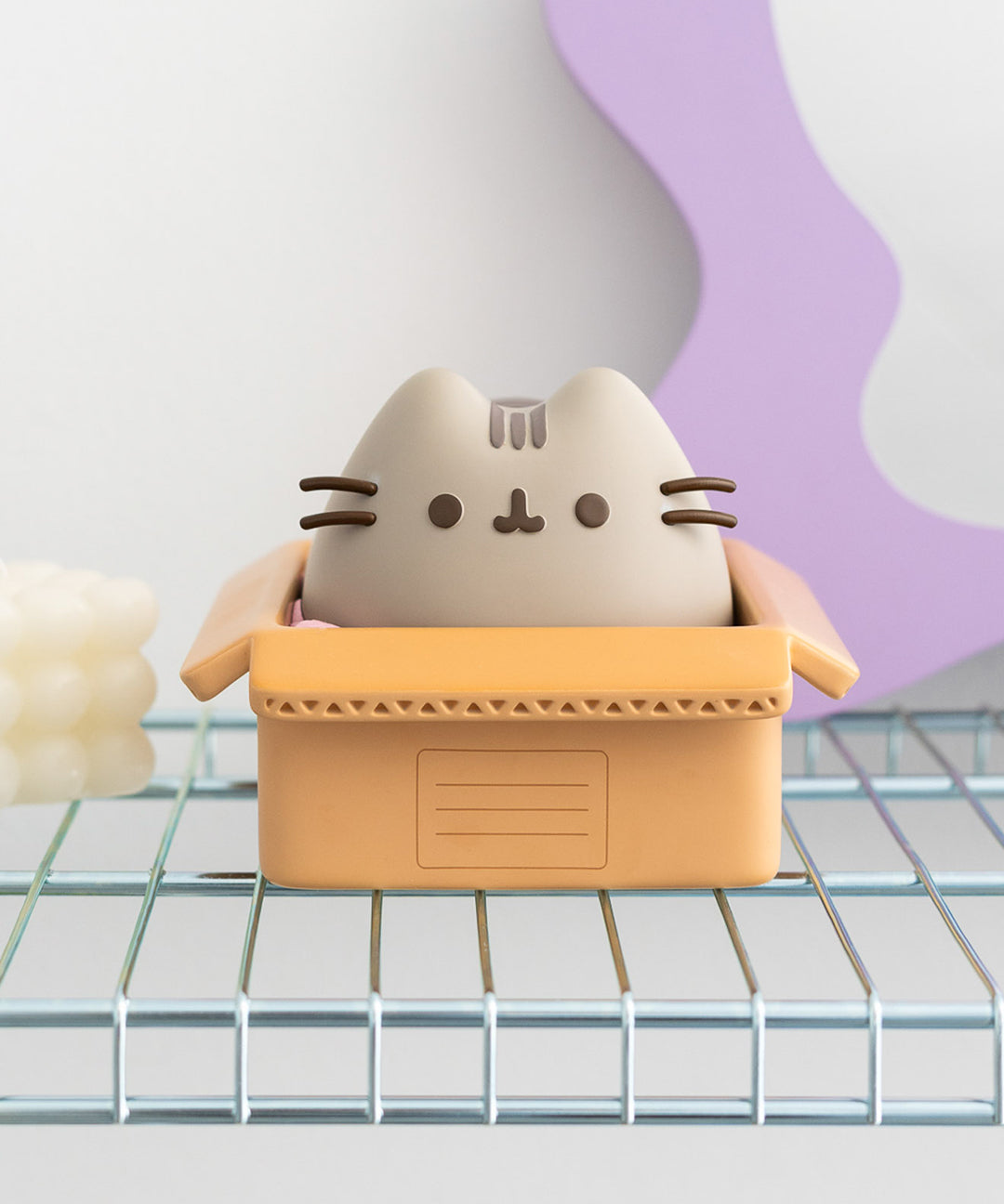 Pusheen Piggy Bank