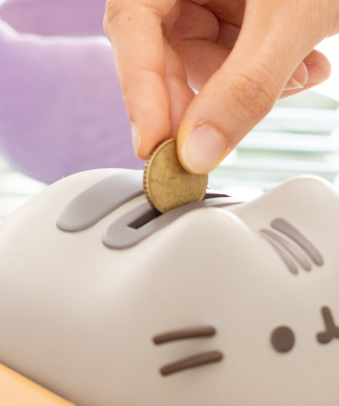 Pusheen Piggy Bank