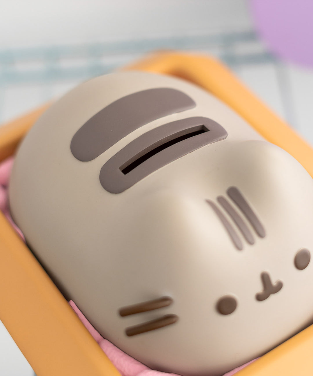 Pusheen Piggy Bank